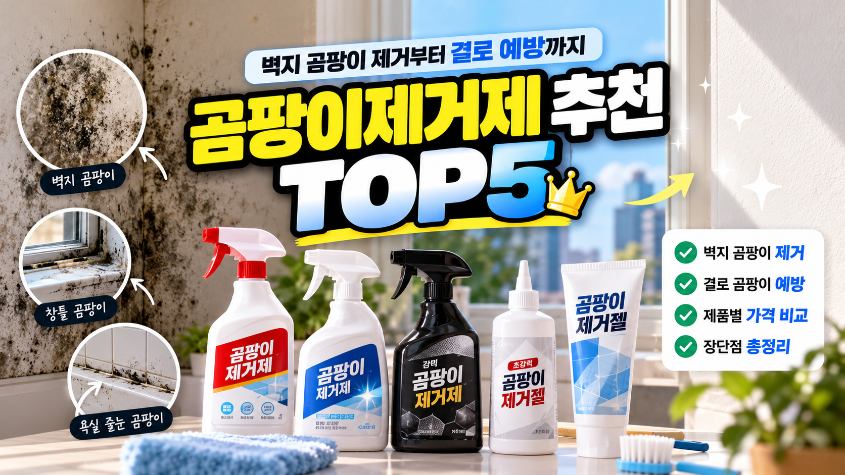 곰팡이 제거제 추천 TOP5